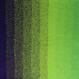 Scheepjes Cotton Whirl