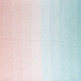 Scheepjes Cotton Whirl