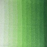 Scheepjes Cotton Whirl
