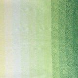 Scheepjes Cotton Whirl
