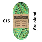 Scheepjes Catona Chroma - 50 g