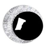 Safety Eyes - 3D - 18mm