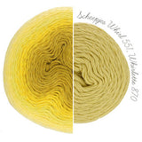 Scheepjes Whirlette - 100 g
