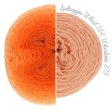 Scheepjes Whirlette - 100 g