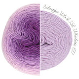 Scheepjes Whirlette - 100 g