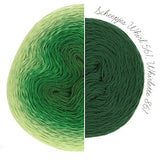 Scheepjes Whirlette - 100 g