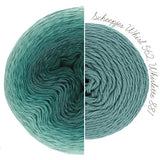 Scheepjes Whirlette - 100 g