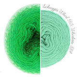 Scheepjes Whirlette - 100 g