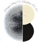 Scheepjes Whirlette - 100 g