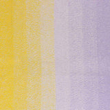Scheepjes Cotton Whirl