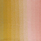 Scheepjes Cotton Whirl